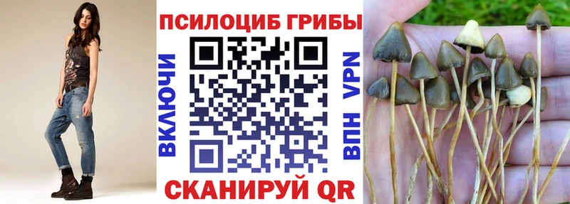 Галлюциногенные грибы Psilocybine cubensis Усолье